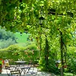 Alojamento de Turismo Rural Il Colle Del Contadino Castelraimondo