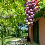 Il Colle Del Contadino Alojamento de Turismo Rural