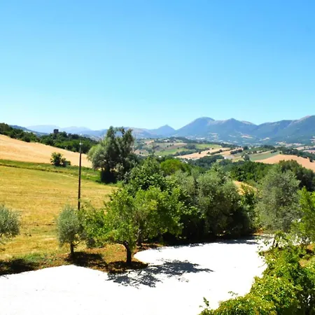 Il Colle Del Contadino *