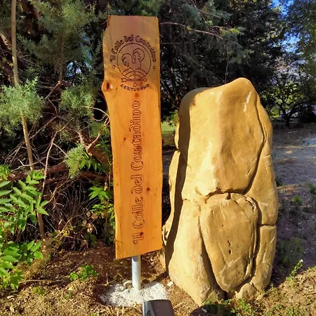 Vakantieboerderij Il Colle Del Contadino Castelraimondo