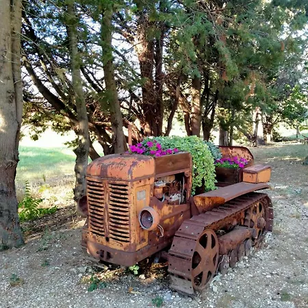 Vakantieboerderij Il Colle Del Contadino Castelraimondo