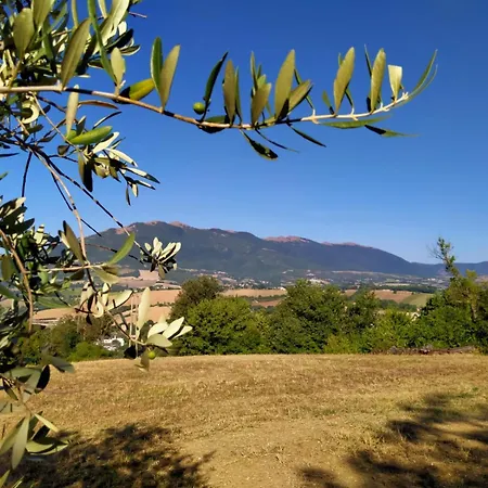 Il Colle Del Contadino