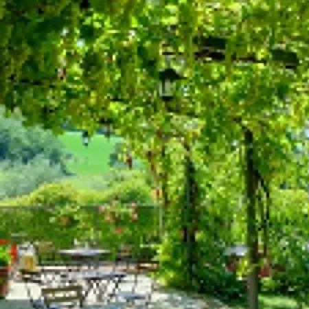 Vakantieboerderij Il Colle Del Contadino Castelraimondo