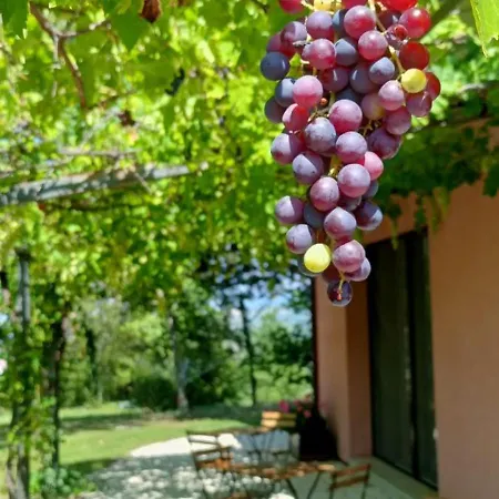 Il Colle Del Contadino Vakantieboerderij