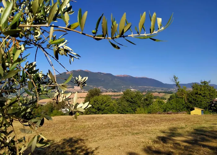 Il Colle Del Contadino
